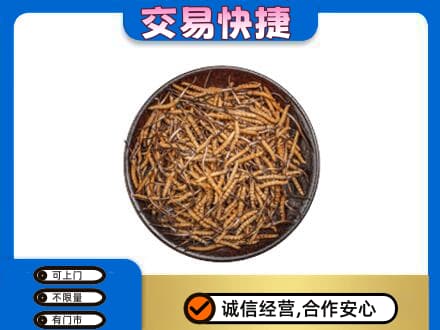 衡阳市高价回收散虫草
